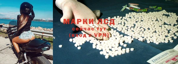apvp Алзамай
