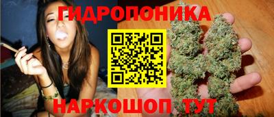 прущие грибы Коммунар