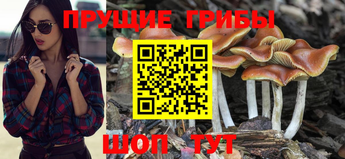 Псилоцибиновые грибы Magic Shrooms Дубна