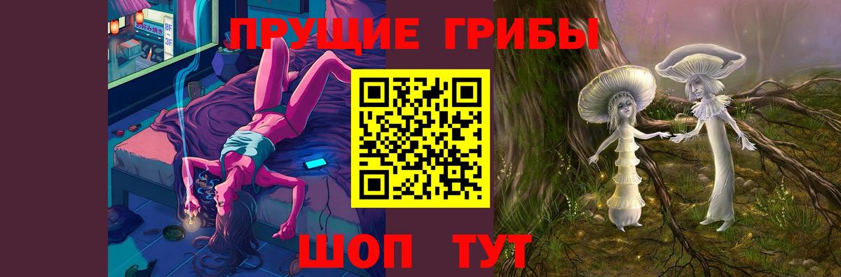Дубна  Псилоцибиновые грибы MAGIC MUSHROOMS  Вход с VPN 