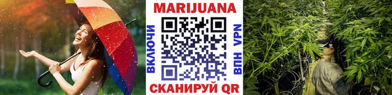 Марихуана Bruce Banner  Дубна 